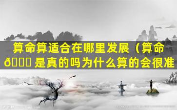 算命算适合在哪里发展（算命 💐 是真的吗为什么算的会很准）